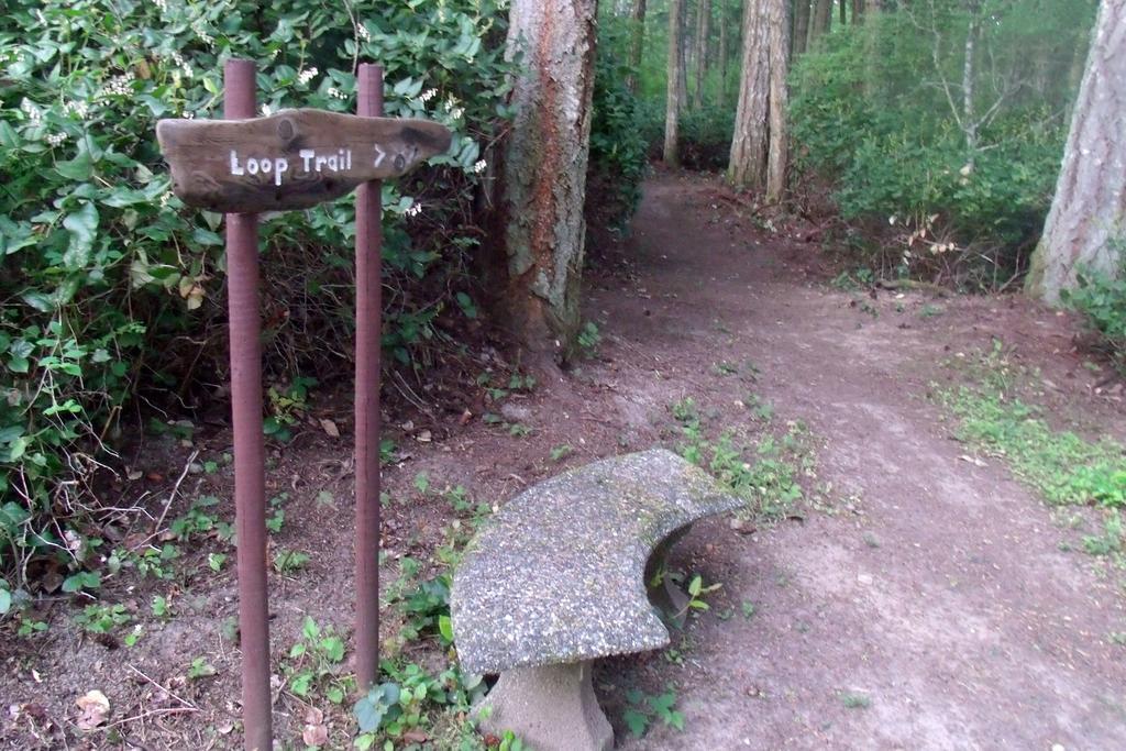 Inn To The Woods Фрайдей Харбър Екстериор снимка